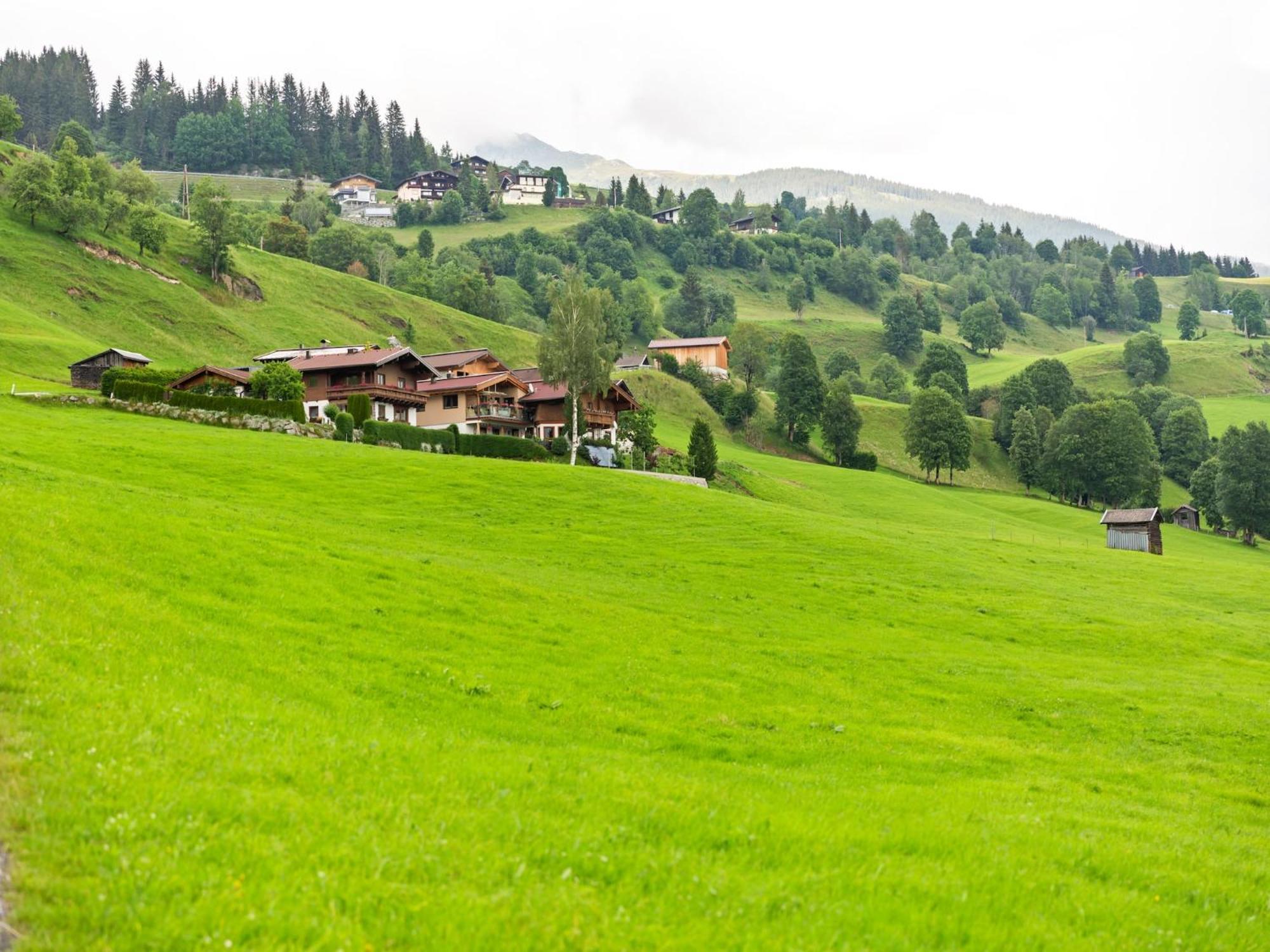 Sunlit Apartment Near Ski Area In Hollersbach Im Pinzgau Exterior photo